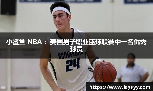 小鲨鱼 NBA ：美国男子职业篮球联赛中一名优秀球员
